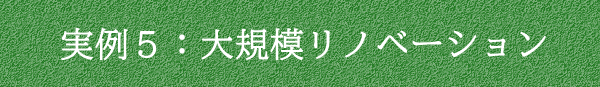 実例5：大規模リノベーション